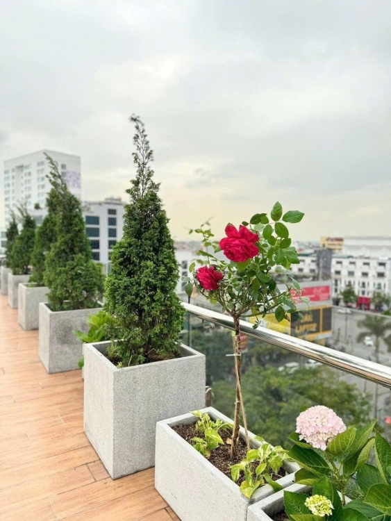 đá ốp bồn hoa