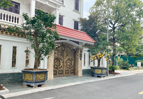 đá ốp cổng nhà đẹp
