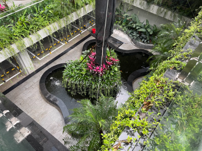 Các mẫu đá lát nền sân vườn đẹp tự nhiên đá lát nền sân vườn