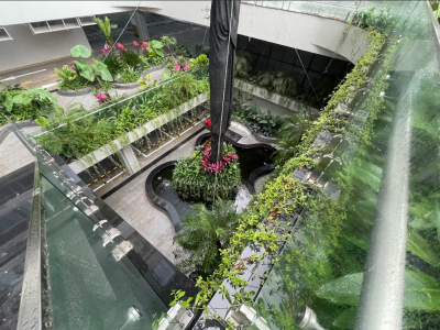 Trang trí sân vườn ấn tượng với đá ốp bồn cây tự nhiên Trang trí sân vườn ấn tượng với đá ốp bồn cây tự nhiên