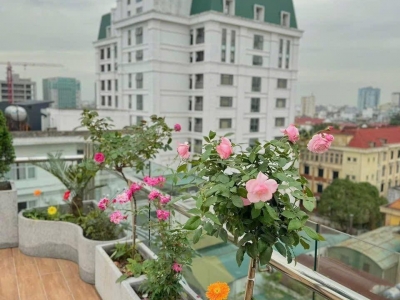 Đá ốp bồn hoa – Giải pháp trang trí ngoại thất đẹp và bền vững Đá ốp bồn hoa – Giải pháp trang trí ngoại thất đẹp và bền vững