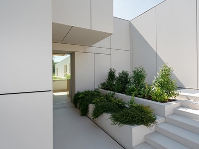 Báo giá đá ốp mặt tiền 2025 - Cập nhật mới nhất cho công trình hiện đại  Báo giá đá ốp mặt tiền 2025 - Cập nhật mới nhất cho công trình hiện đại